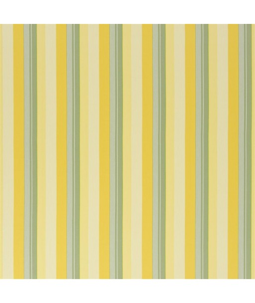 RL Greenport Stripe Fabric - Yellow/green s'inspire de l'anatomie humaine