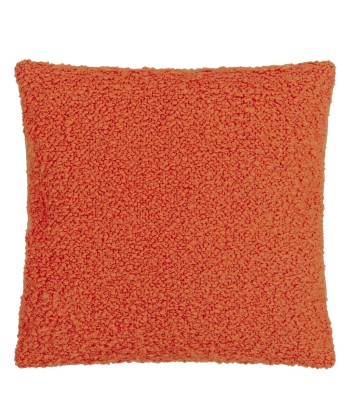 DG Cormo Persimmon Boucle Cushion Vous souhaitez 