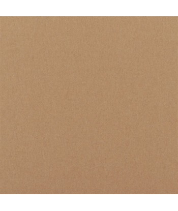 Fabric RL Highland Wool Camel hantent personnes