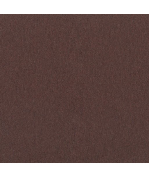 Fabric RL Highland Wool Cocoa suggérées chez